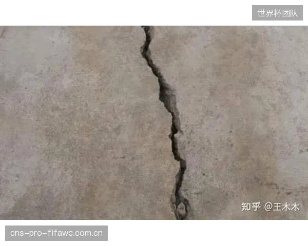 未来三年，单纯的膨胀剂或传感器销售商将被淘汰，市场将由能提供“材料+监测+分析”一体化解决方案的巨头主导